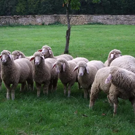 Domaine De Gondrange - D'hotes 3*