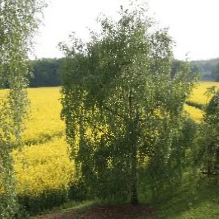 Bed & Breakfast Domaine De Gondrange - D'hotes