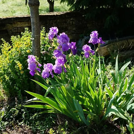 Domaine De Gondrange - D'hotes Bed & Breakfast