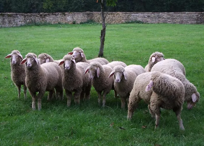 Domaine De Gondrange - D'hotes 3*