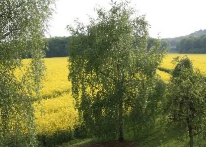 Panzió Domaine De Gondrange - D'hotes