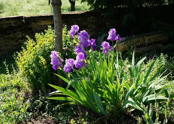 Domaine De Gondrange - D'hotes Bed & Breakfast